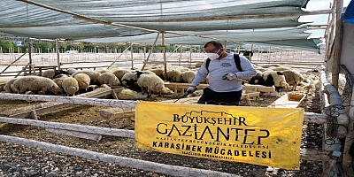 BÜYÜKŞEHİR’İN KURBAN BAYRAMI TEDBİRLERİ ARALIKSIZ DEVAM EDİYOR!