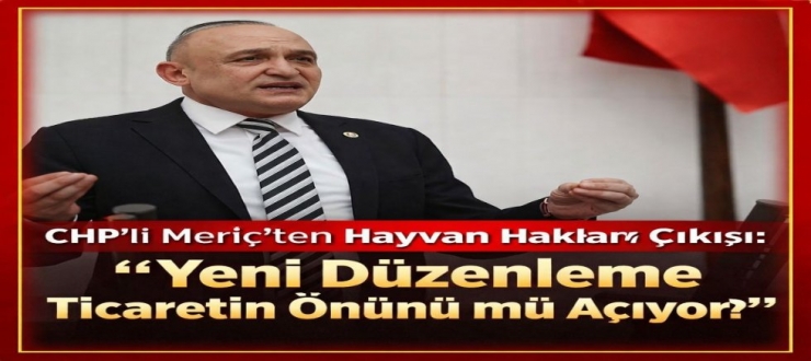 CHP’li Meriç’ten Hayvan Hakları Çıkışı: “Yeni Düzenleme Ticaretin Önünü mü Açıyor?”