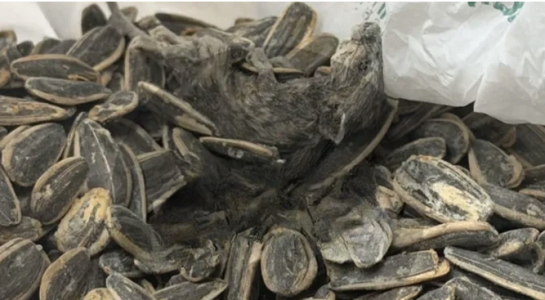 Gaziantep'te markette iğrenç görüntü