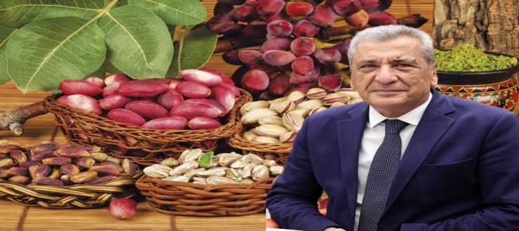 Hasan Öztürkmen, Suriye'den fıstık ithalatını Meclis Gündemine taşıdı