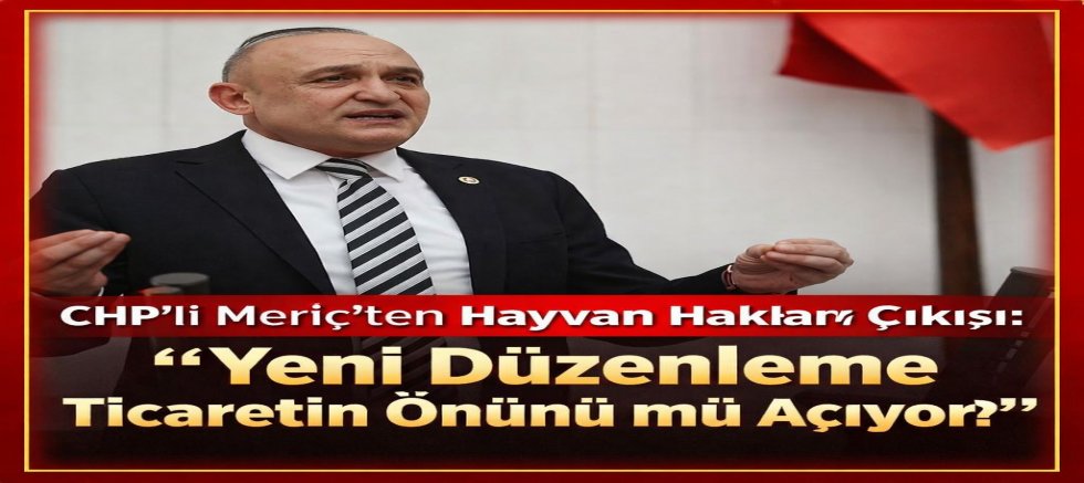 CHP’li Meriç’ten Hayvan Hakları Çıkışı: “Yeni Düzenleme Ticaretin Önünü mü Açıyor?”