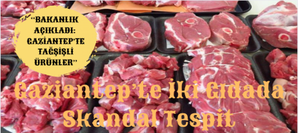 Gaziantep’te İki Gıdada Skandal Tespit