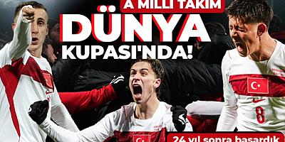 A Milli Takım Dünya Kupası'nda!