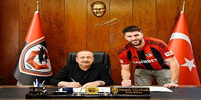 Anel Husic, Gaziantep FK'da