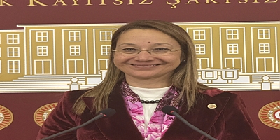 BAKBAK: GAZİANTEP MİLLÎ MÜCADELE RUHU VE GAZİLİK UNVANINI 105 YILDIR AYNI GURURLA YAŞIYOR