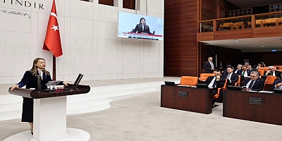 BAKBAK, TÜRKİYE’NİN İKLİM KRİZİ MÜCADELESİNİ ANLATTI