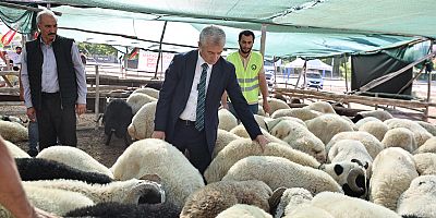 BAŞKAN TAHMAZOĞLU KURBAN FİYATLARINI AÇIKLADI