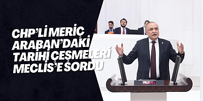 CHP’li Meriç Araban’daki Tarihi Çeşmeleri Meclis’e Sordu