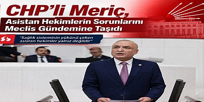CHP’li Meriç, Asistan Hekimlerin Sorunlarını Meclis Gündemine Taşıdı