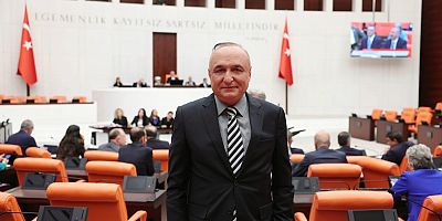 CHP'li Meriç, Gaziantep’te MSUD Hastalığı Nedeniyle Hayati Risk Taşıyan Çocukları Meclis Gündemine Taşıdı