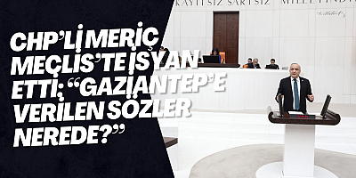 CHP’li Meriç Meclis’te İsyan Etti: “Gaziantep’e Verilen Sözler Nerede?”