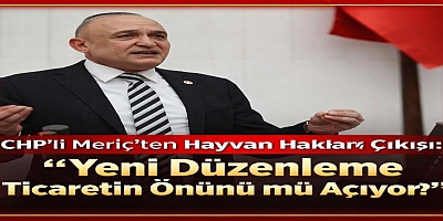 CHP’li Meriç’ten Hayvan Hakları Çıkışı: “Yeni Düzenleme Ticaretin Önünü mü Açıyor?”