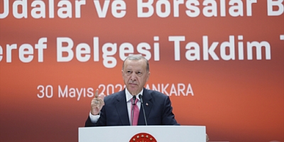 Cumhurbaşkanı Erdoğan'ın Yeni Yol Haritası  Ne Olacak ?