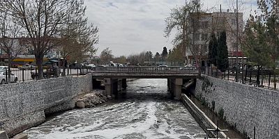 Daha temiz bir Sacır için Gaski çalışmalarını sürdürüyor 