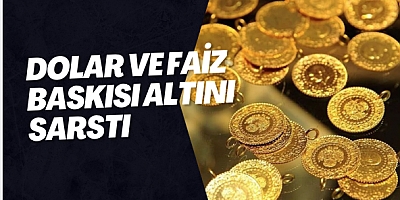 Dolar ve Faiz Baskısı Altını Sarstı
