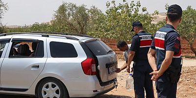 Fıstık hırsızlığına karşı jandarmadan sıkı denetim