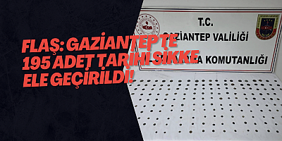 FLAŞ: Gaziantep'te 195 Adet Tarihi Sikke Ele Geçirildi!