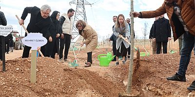 GAZİANTEP BÜYÜKŞEHİR, 330 BİN METREKARE ALANI AĞAÇLANDIRDI
