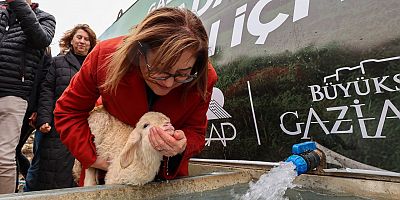  GAZİANTEP BÜYÜKŞEHİR İLE MERALARDA HAYVANLAR TEMİZ SUYA KAVUŞUYOR