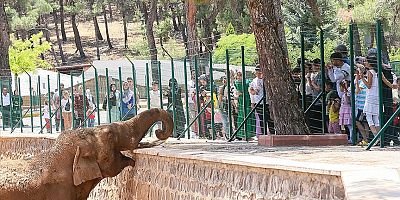 Gaziantep Doğal Yaşam Parkı 62 bin ziyaretçiyi ağırladı