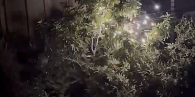 Gaziantep Gazikent Mahallesi’nde Elektrik Telleri Tehlike Saçıyor: Vatandaş Endişeli