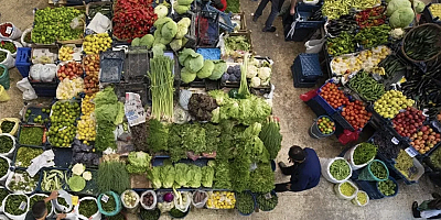 Gaziantep Hal Fiyatları 19 Aralık 2025