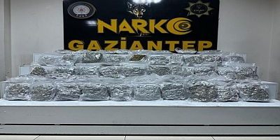 Gaziantep’te 24 kilo skunk ele geçirildi