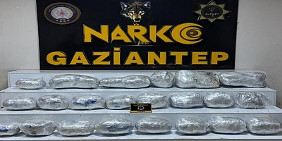 Gaziantep’te 26 kilo skunk ele geçirildi
