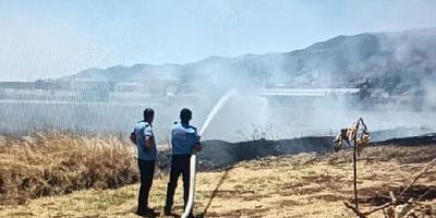 Gaziantep'te anız yangını; 45 dönüm ile ağaçlar küle döndü