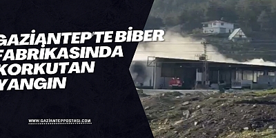 Gaziantep'te biber fabrikasında korkutan yangın