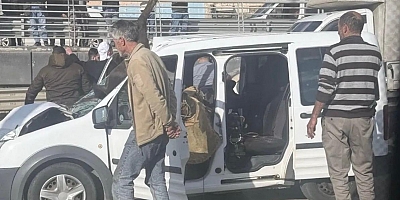 Gaziantep'te bir aracın üzerine AT düştü-VİDEO HABER