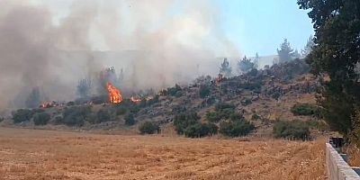 Gaziantep’te çıkan yangında 30 dönüm ormanlık alan zarar gördü