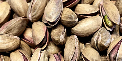 Gaziantep’te Fıstık Alarmı: Katmercilerden Kritik Uyarı