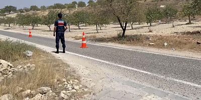 Gaziantep'te jandarmanın dron destekli 'yeşil altın' nöbeti devam ediyor