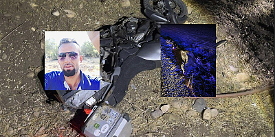 Gaziantep'te motosiklet ineğe çarptı: Sürücü hayatını kaybetti, inek telef oldu