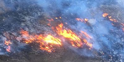 Gaziantep'te orman yangını