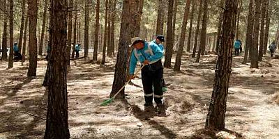 Gaziantep’te orman yangınlarını önleme çalışmaları 7/24 devam ediyor