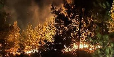 Gaziantep’te örtü yangını