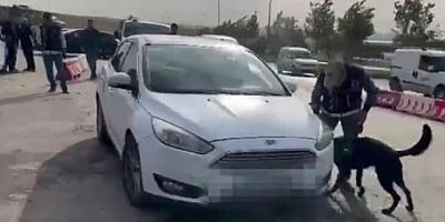 Gaziantep'te otomobilde 78 kilo skunk ele geçirildi