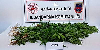 Gaziantep'te uyuşturucu operasyonu: 4 gözaltı