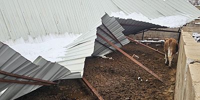 Gaziantep'te yoğun kar yağışı sonrası ahırın çatısı çöktü