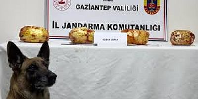 Gaziantep'te yolcu otobüsünde 3 kilo esrar ele geçirildi