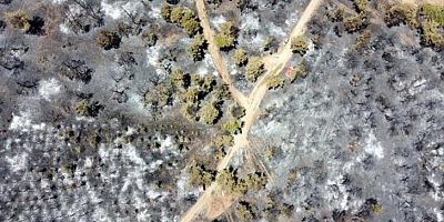 Gaziantep'teki orman yangınında 58 hektar alan zarar gördü