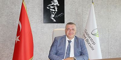 GAZİANTEP VE BÖLGEDE ZEYTİN HASADI BAŞLADI