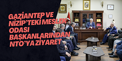 GAZİANTEP VE NİZİP’TEKİ MESLEK ODASI BAŞKANLARINDAN NTO’YA ZİYARET