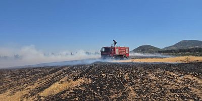 İslahiye’de 150 dönüm arazi kül oldu