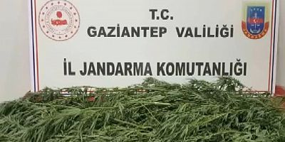 Jandarma uyuşturucuya geçit vermiyor