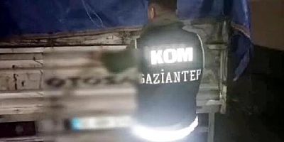 Kamyonette 1 milyon 200 bin kaçak makaron ele geçirildi; 1 gözaltı
