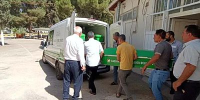 Kamyonun hafif ticari araca çarptığı kazada