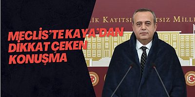 Meclis’te Kaya’dan dikkat çeken konuşma